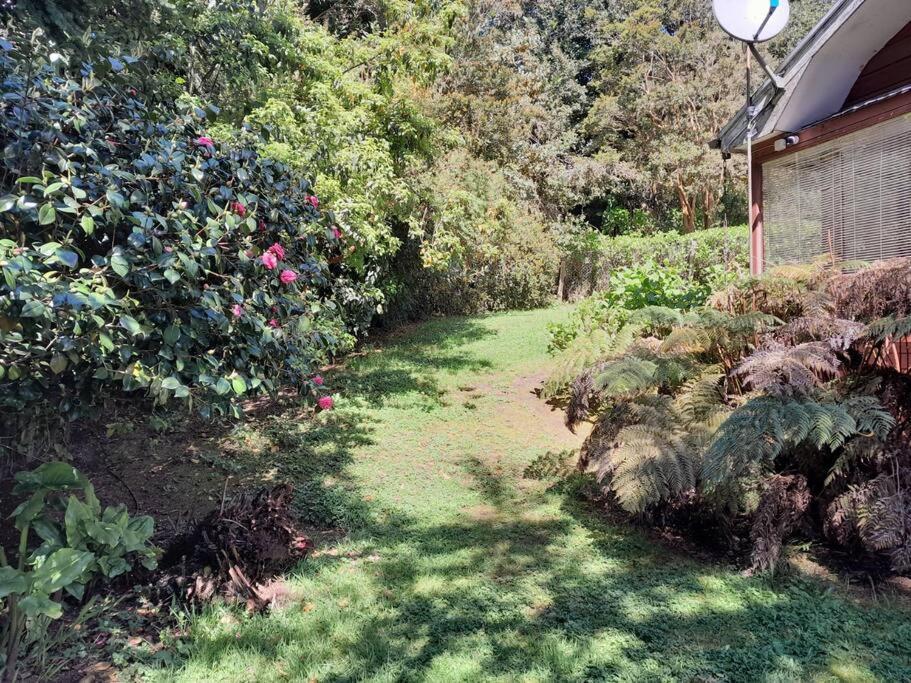 Cabana El Laurel Casa de férias Puerto Varas